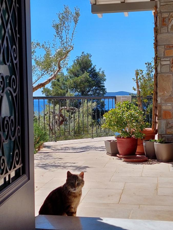 Villa Johell Neos Marmaras Exterior photo